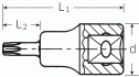 Nástrčná hlavice TORX T25  49mm