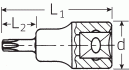 Nástrčná hlavice TORX T20  55mm