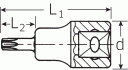 NÁSTAVEC TORX T40 1/2"