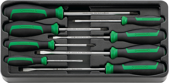 TORX SCREWDRIVER WITH HOLE