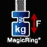 Wiha Klíče ve tvaru L TORX® MagicSpring® úprava chemickým černěním T40 (31243)